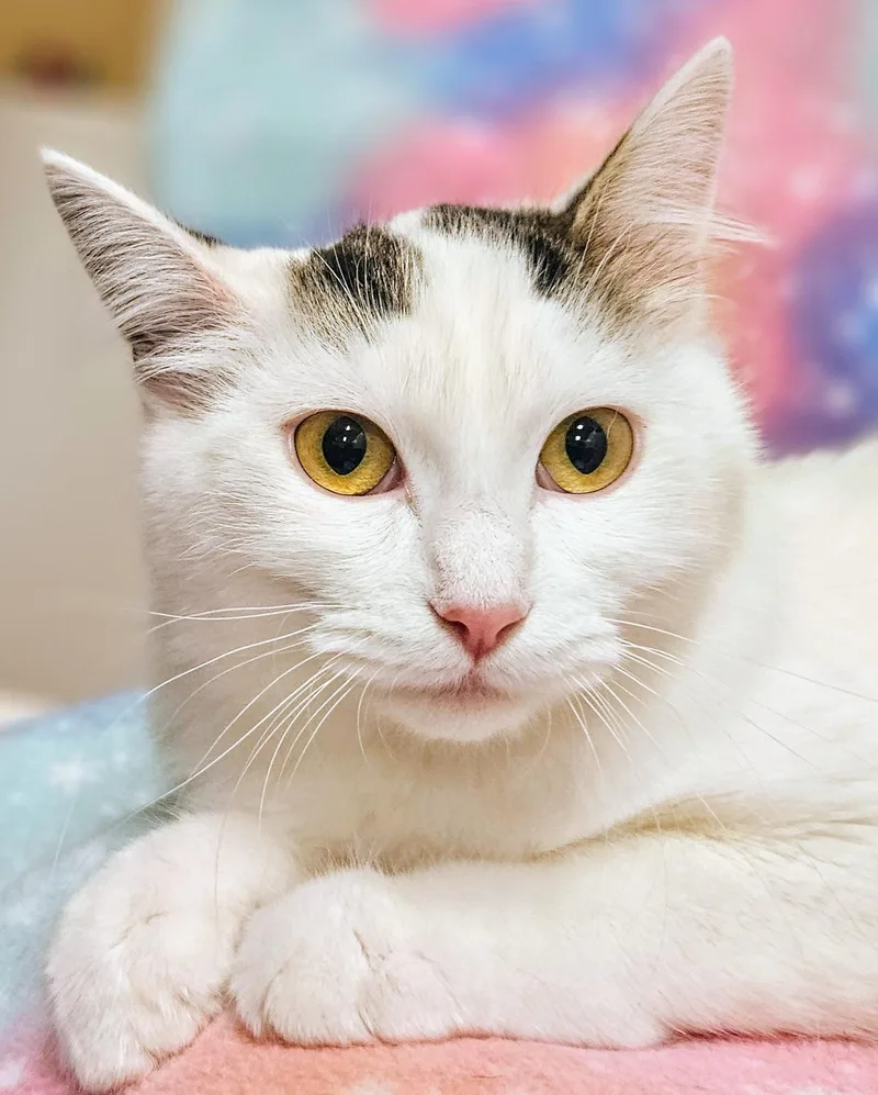 Maxie  Rancho Cucamonga thumbnail 2