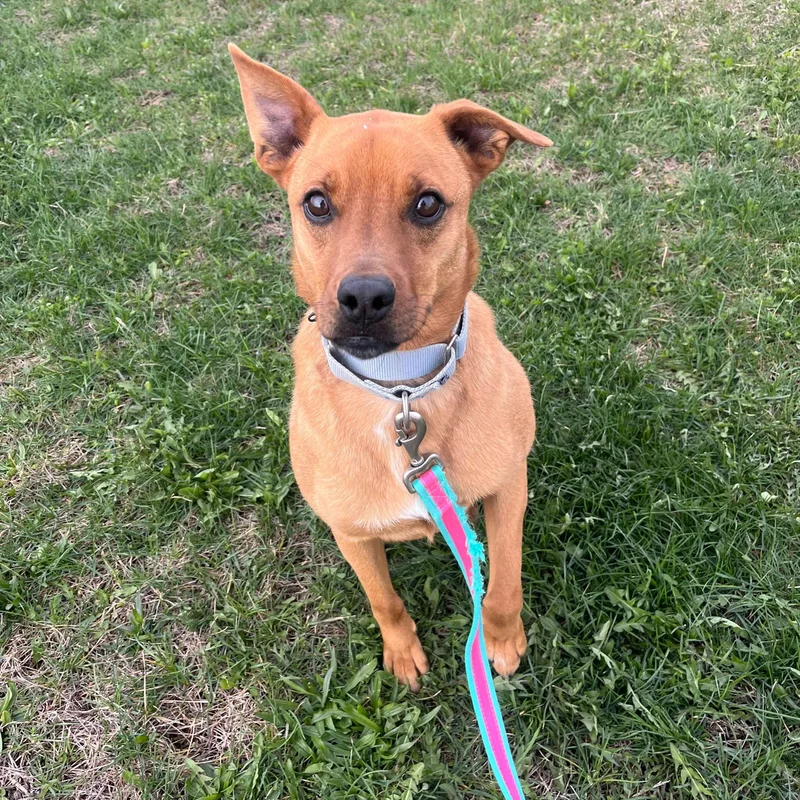 Spongebob thumbnail 2