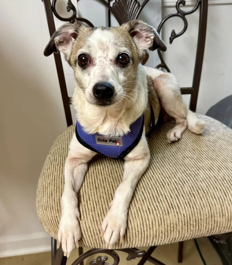 Linky West thumbnail 4