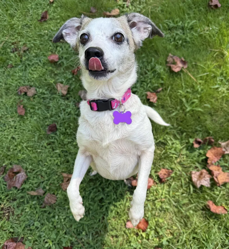 Linky West thumbnail 5