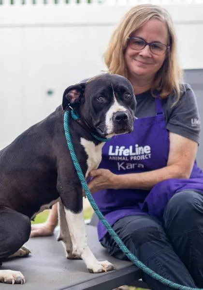 A young medium-sized female Mixed Breed dog named Sweet Lady for adoption in Chamblee, GA