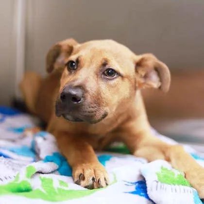 Demi Leigh thumbnail 2