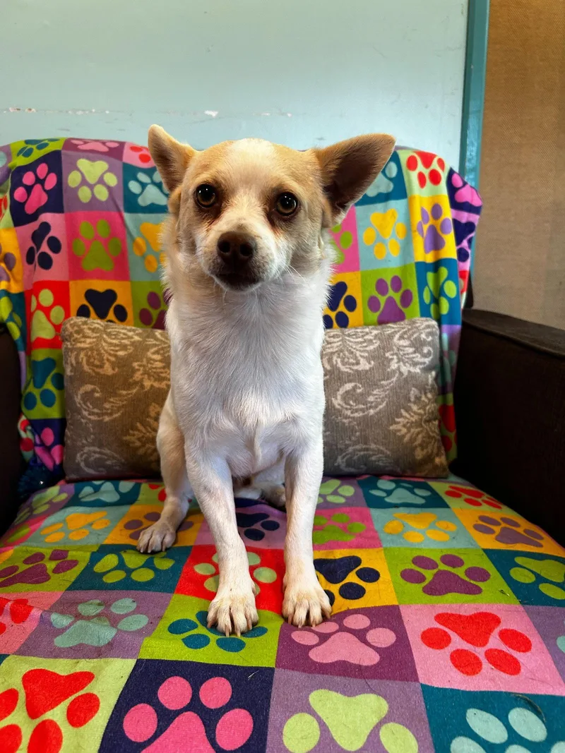 Mickie Mar thumbnail 3