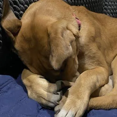 Heidi thumbnail 3