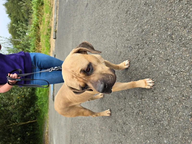 Bernie Marie thumbnail 2