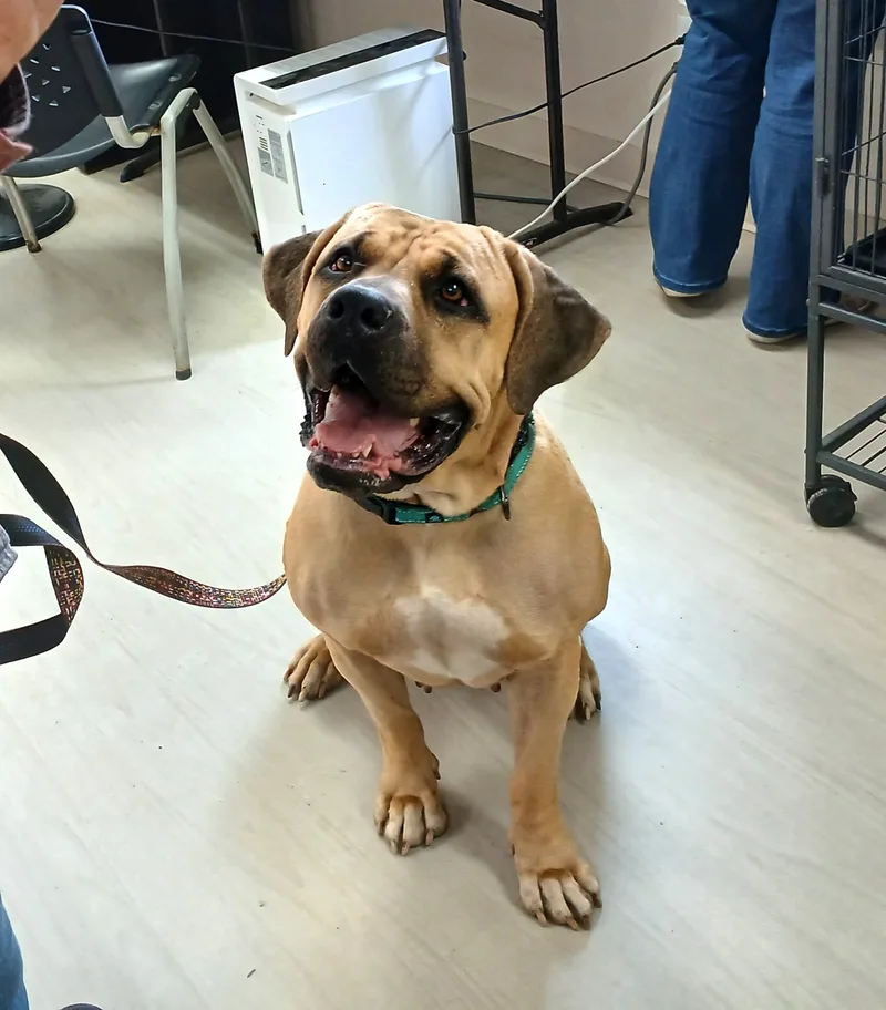 Bernie Marie thumbnail 3