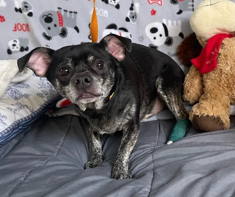 Ernie thumbnail 2
