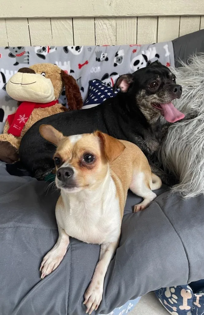 Ernie thumbnail 5