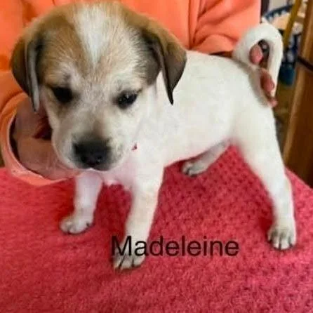 Madeline thumbnail 2