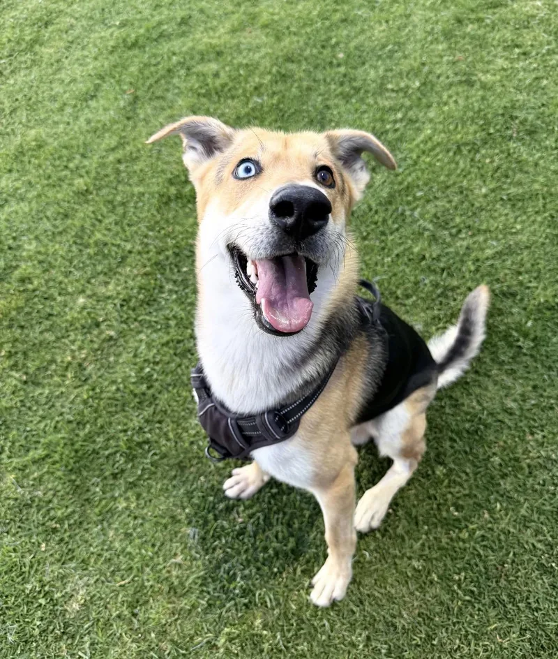 Sebastian thumbnail 2