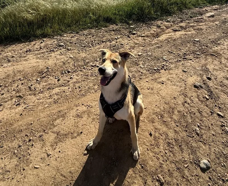 Sebastian thumbnail 3