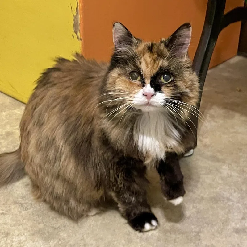 Sunshine thumbnail 2