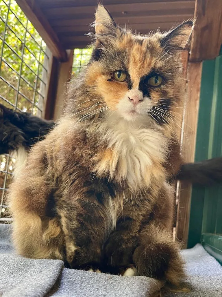 Sunshine thumbnail 5