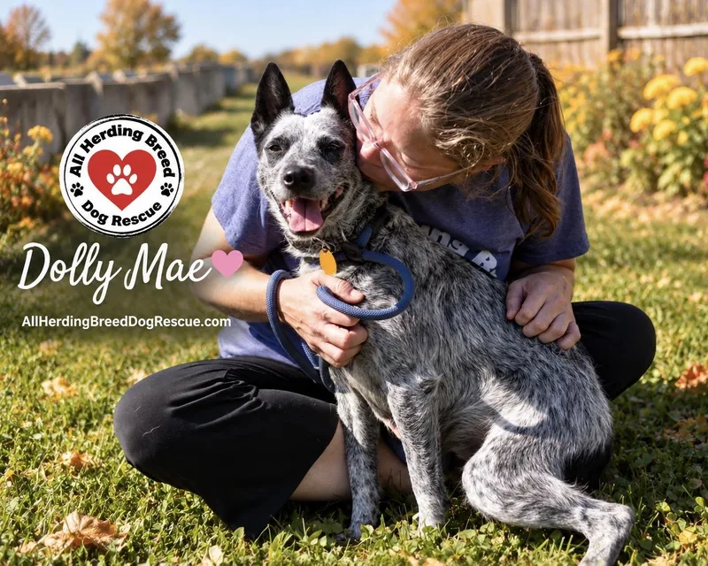 Dolly Mae thumbnail 2