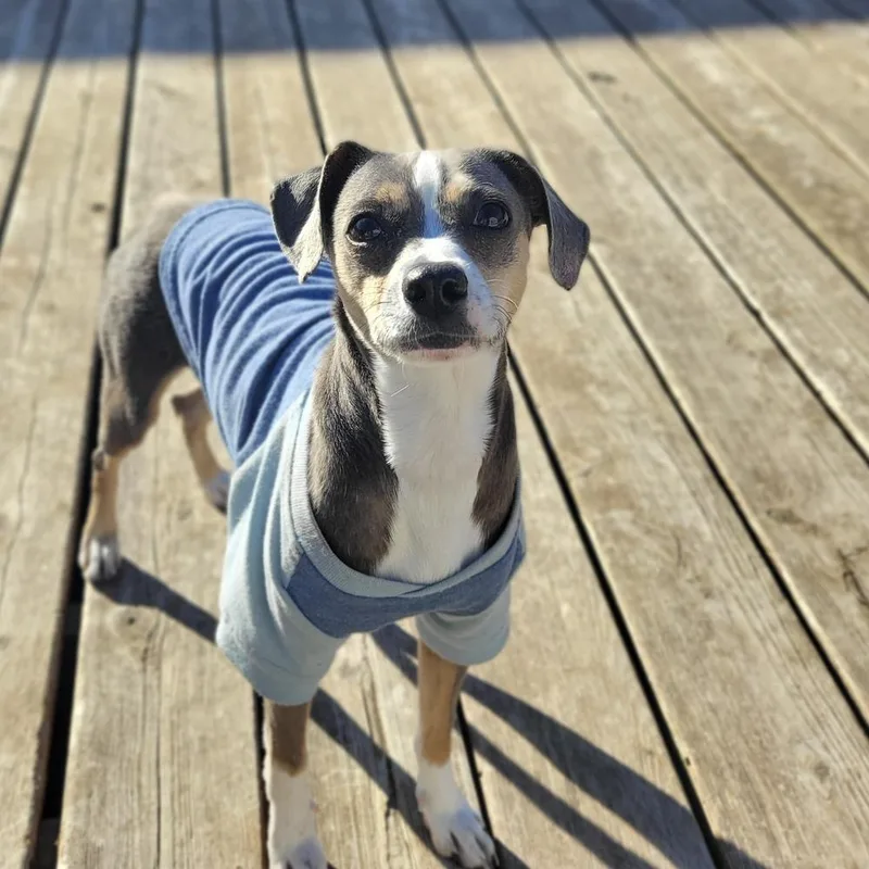 Piper Jones thumbnail 4