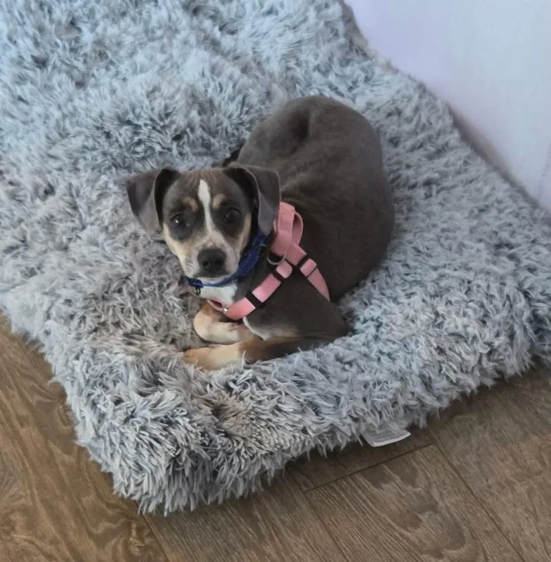 Piper Jones thumbnail 6