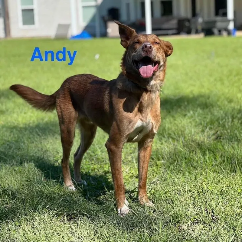 Andy thumbnail 3