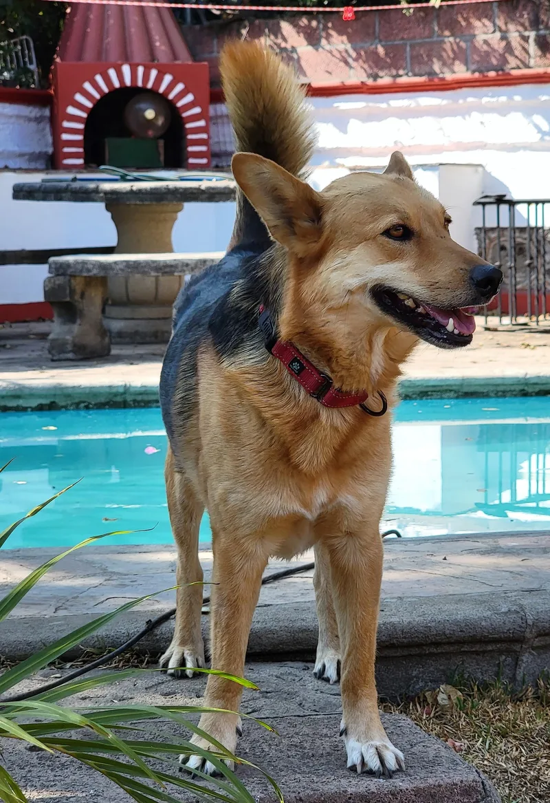 Giovanni thumbnail 3