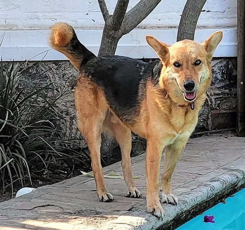 Giovanni thumbnail 2