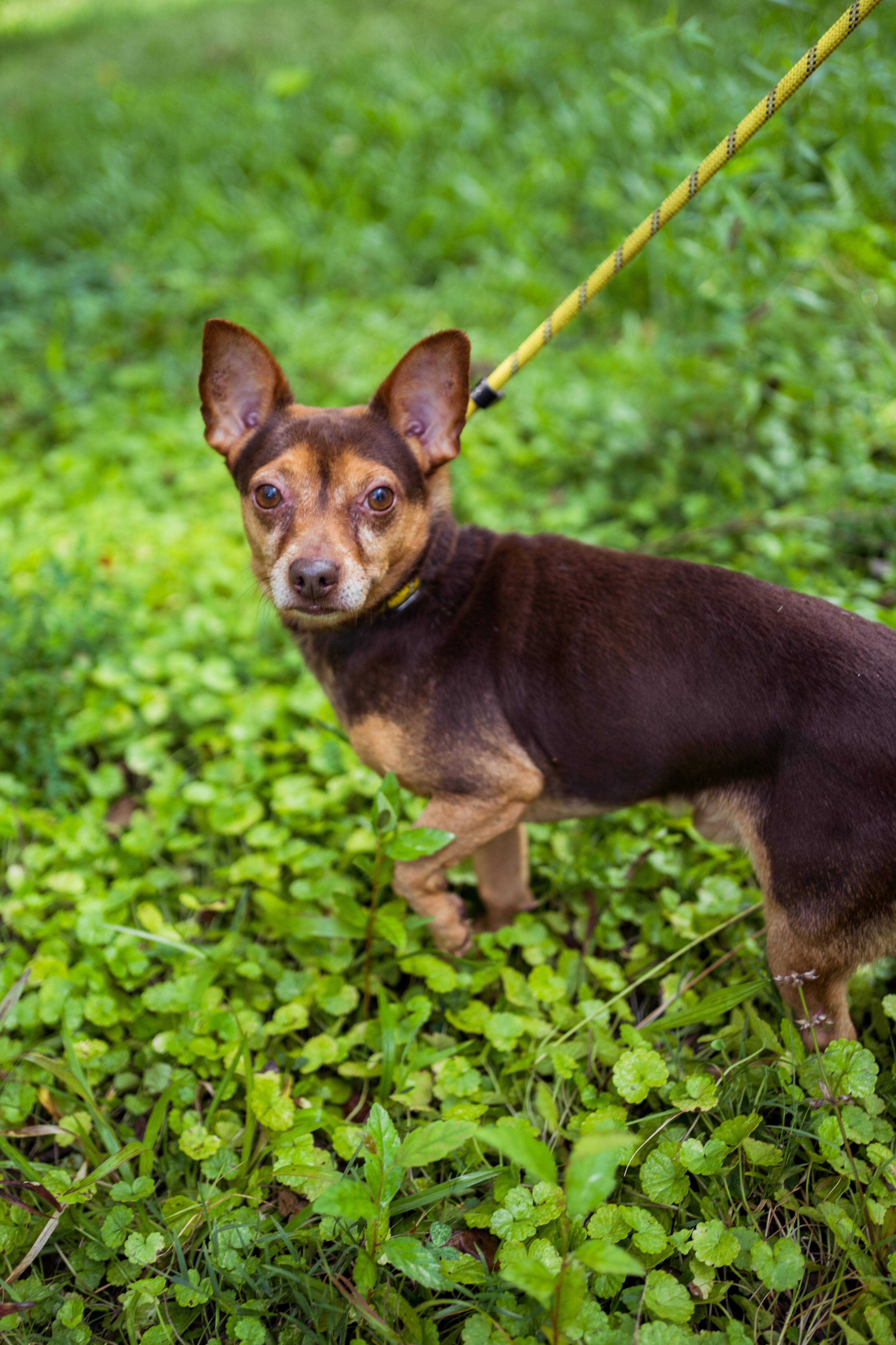 Eclair & Twix thumbnail 4