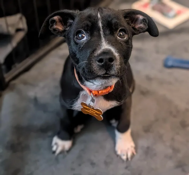 Whisker Bay thumbnail 3