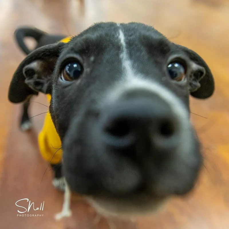 Whisker Bay thumbnail 4