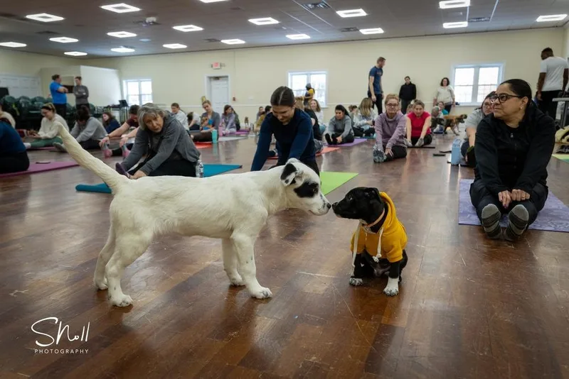 Whisker Bay thumbnail 5