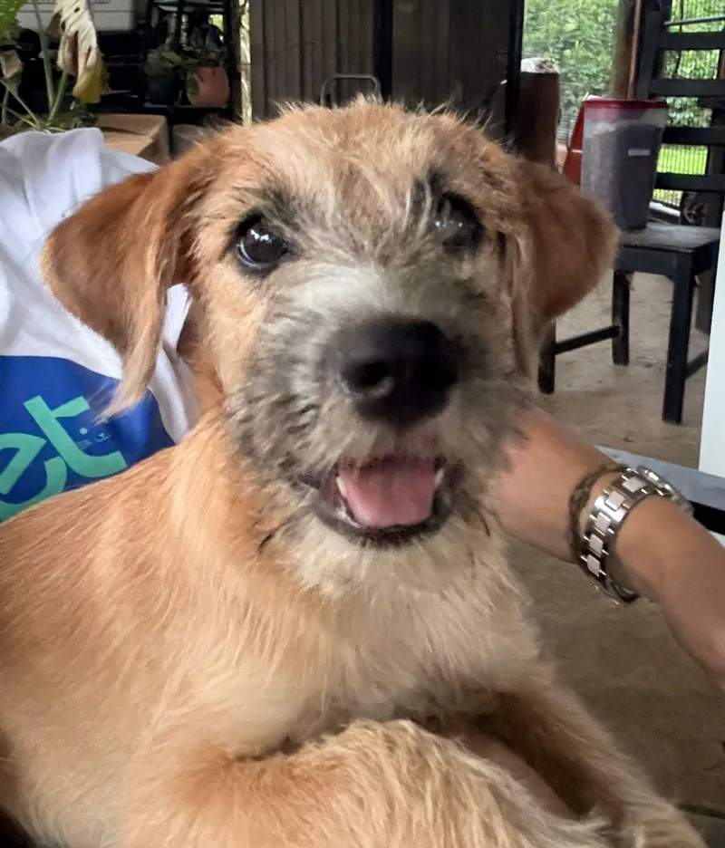 Jaydeken thumbnail 2