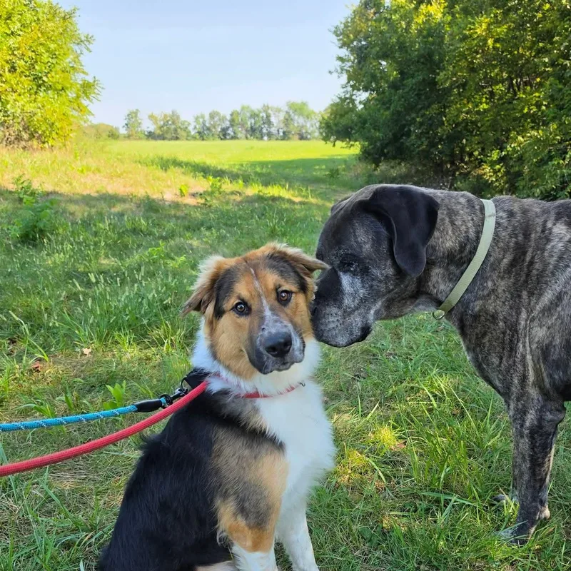 Max