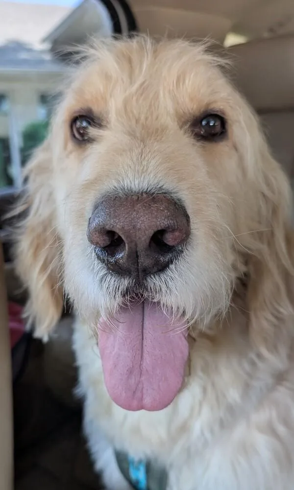 Sully thumbnail 3