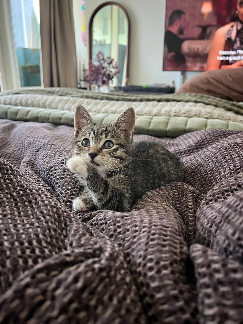 Darla