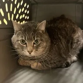 Thor And Loki thumbnail 2