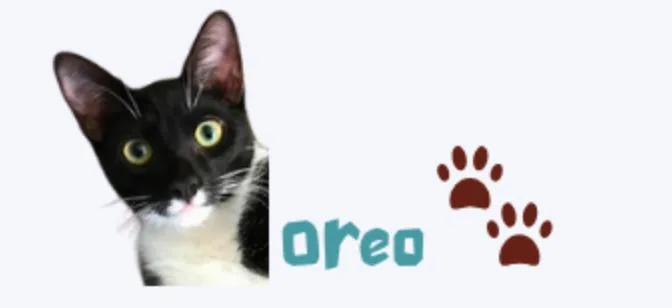 Oreo