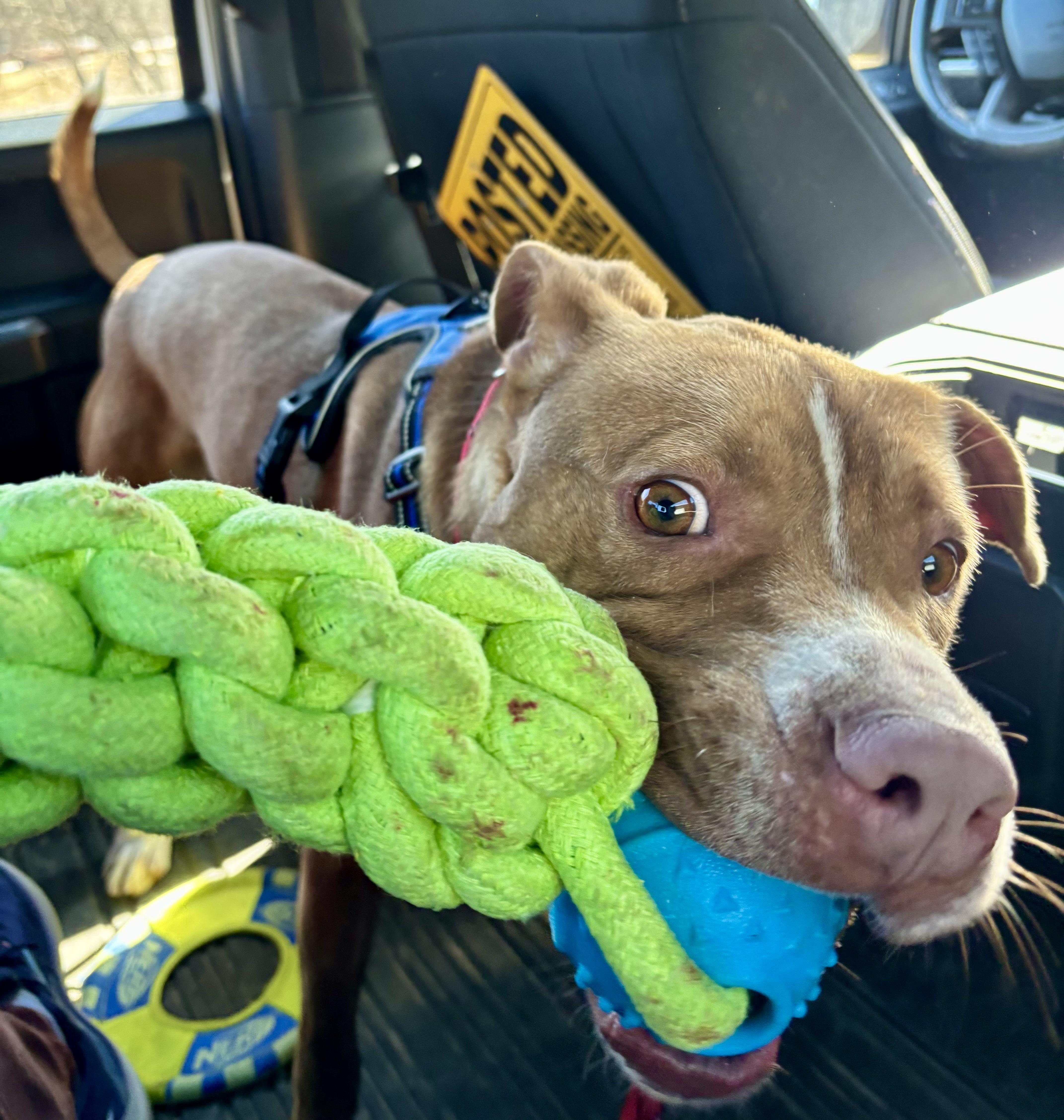 Remington thumbnail 2