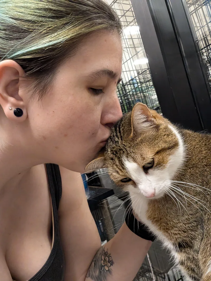 Blessing thumbnail 2