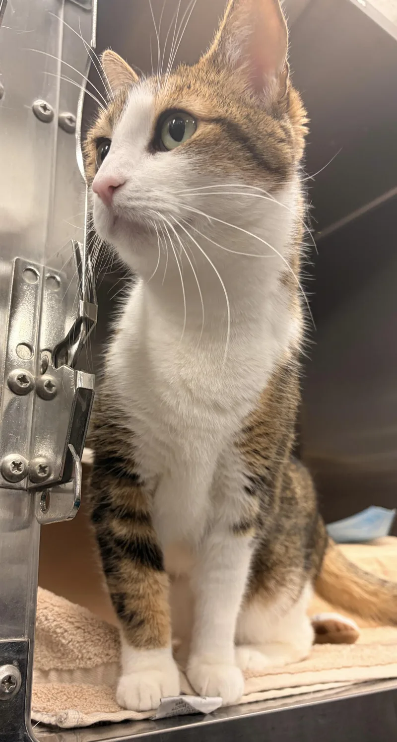 Blessing thumbnail 6