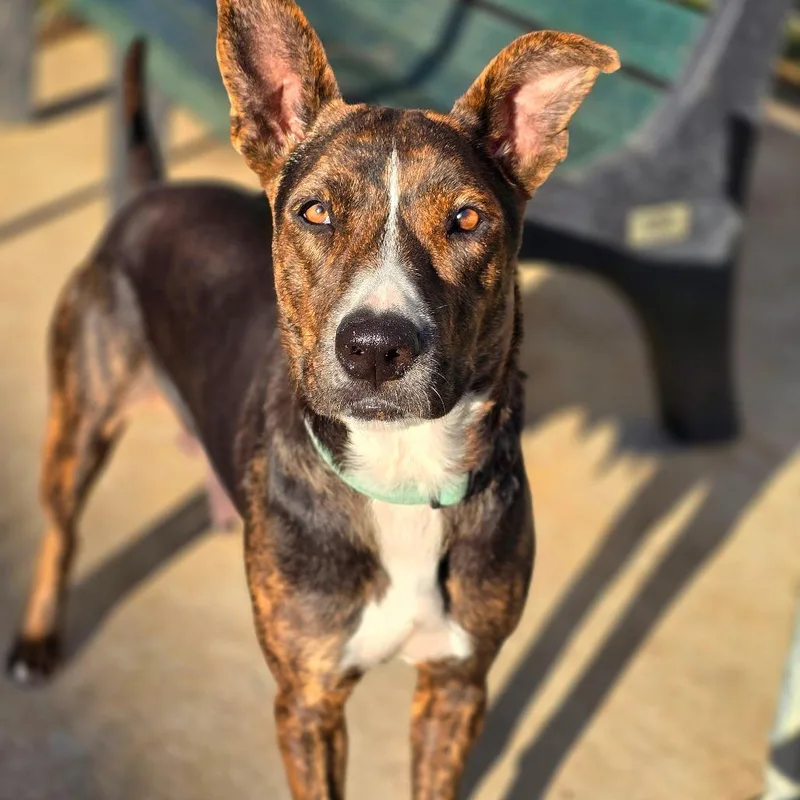 Solstice thumbnail 3