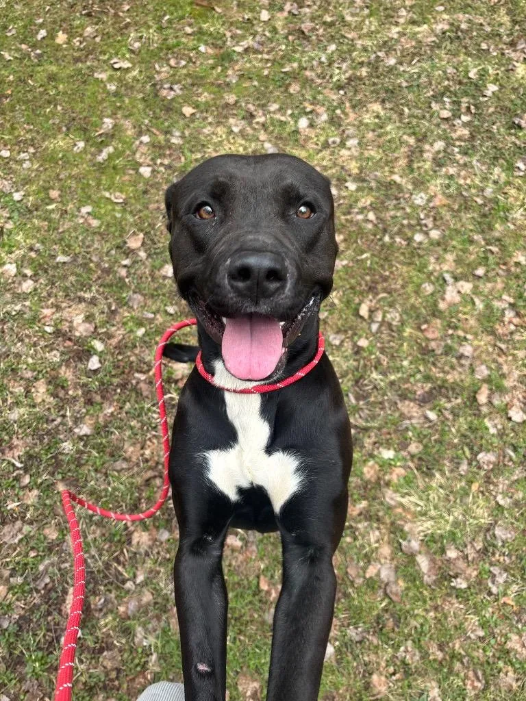 Bo Burnham thumbnail 2