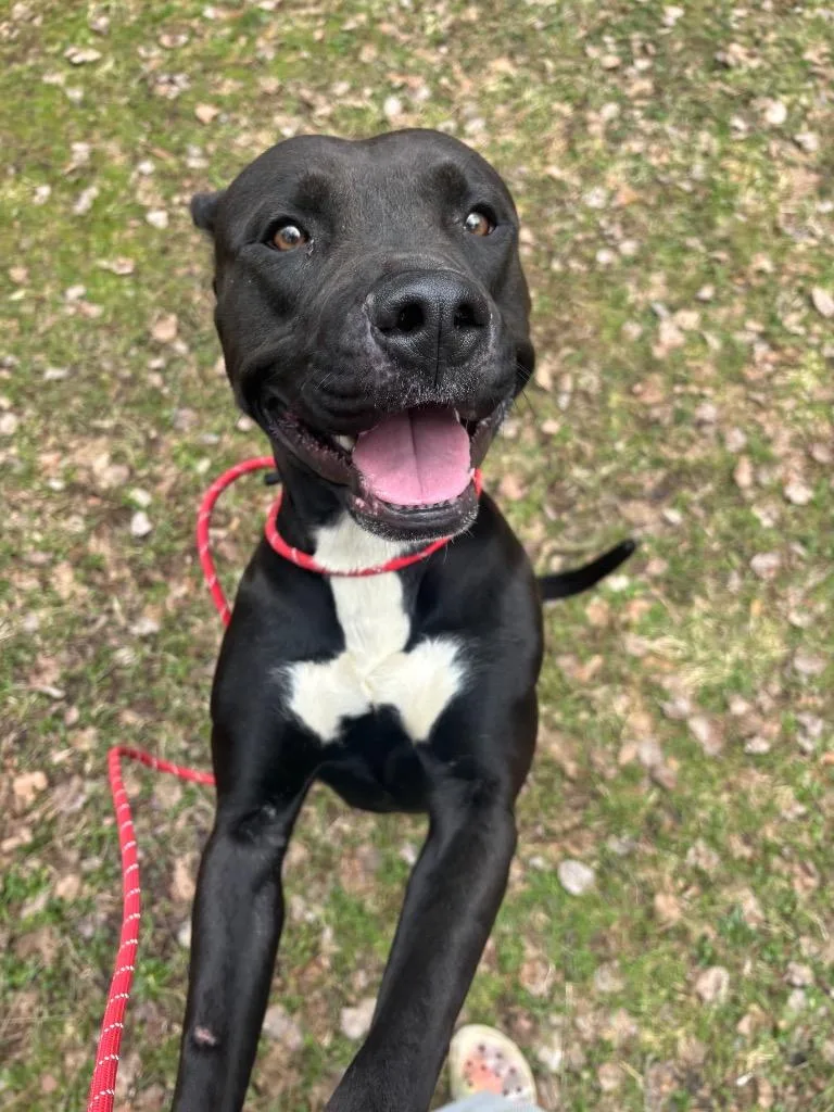 Bo Burnham thumbnail 3