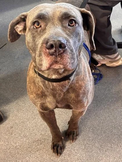 Brooklyn thumbnail 2