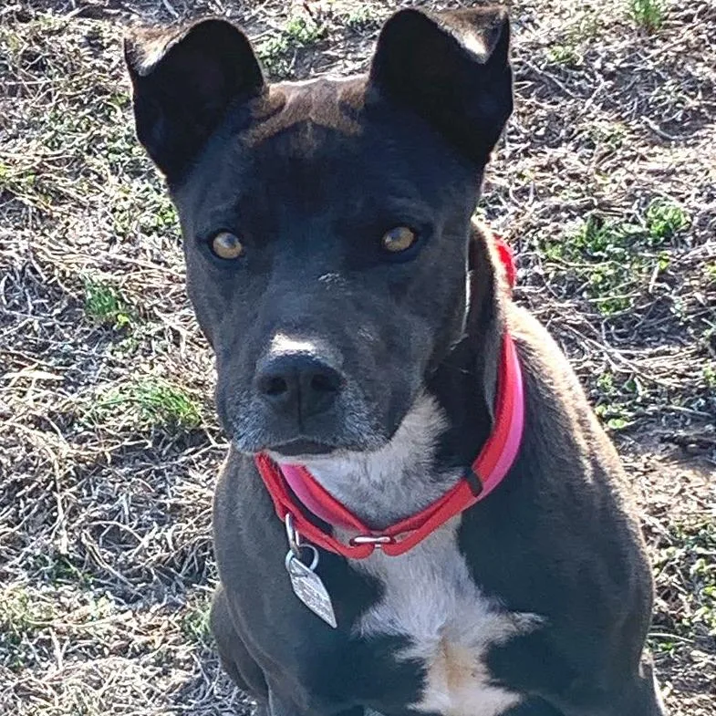 Raquelle thumbnail 2