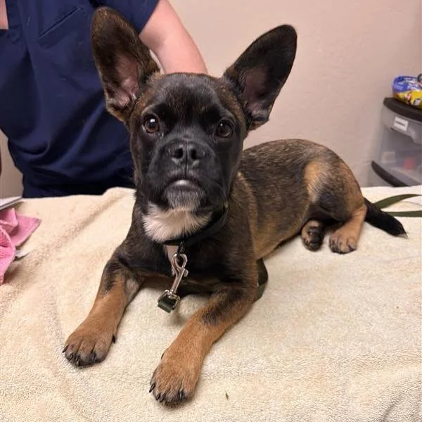 Cartwheel thumbnail 2