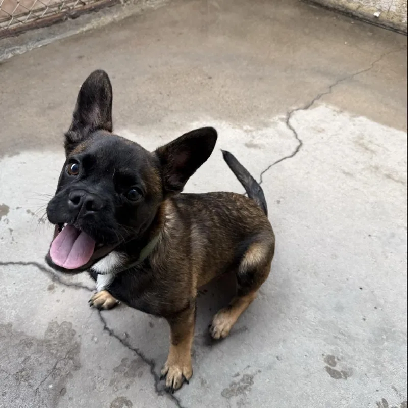 Cartwheel thumbnail 3