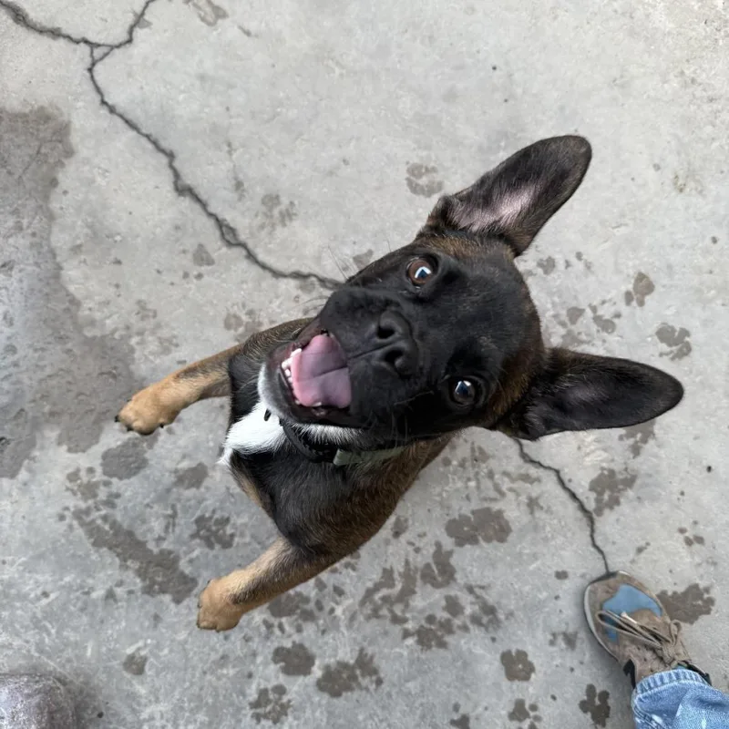 Cartwheel thumbnail 4