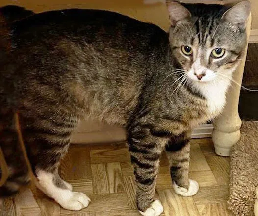 Kryptonite thumbnail 2