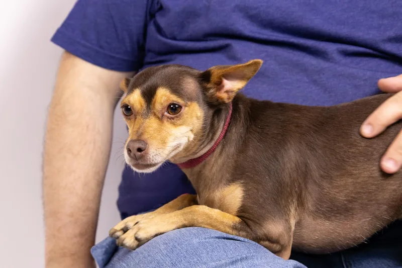 Minnie And Her Handsome thumbnail 5