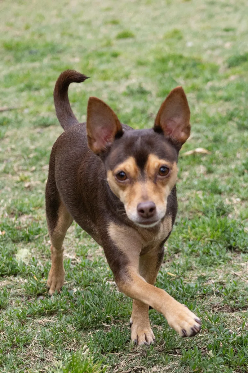 Cosmo And His Good thumbnail 2