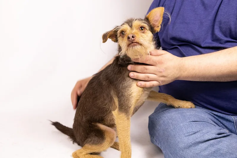 Cosmo And His Good thumbnail 5