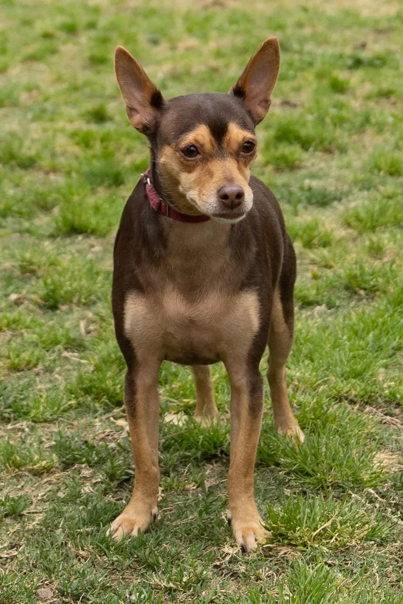 Cosmo And His Good thumbnail 6