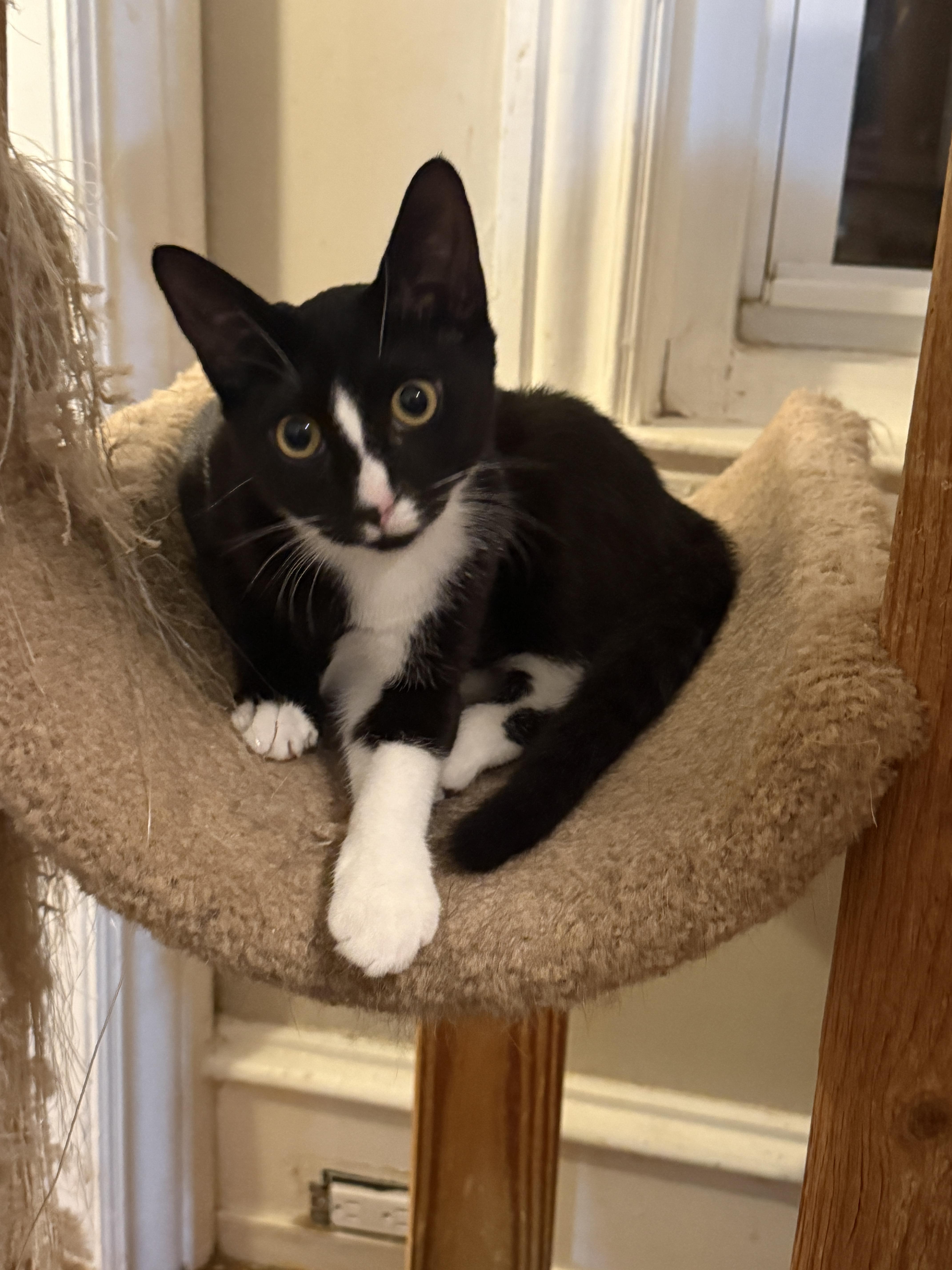 Teagan thumbnail 6